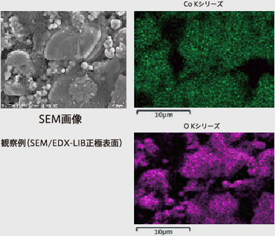 SEM画像 観察例（SEM/EDX-LIB正極表面）